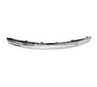 Listón embellecedor/protector, panal de radiador BLIC 6502-07-1302991P