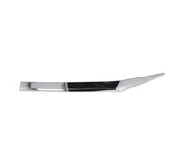 Listón embellecedor/protector, panal de radiador BLIC 6502-07-2950991P izquierda