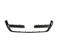 Listón embellecedor/protector, panal de radiador BLIC 6502-07-2956991P