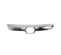 Listón embellecedor/protector, panal de radiador BLIC 6502-07-2957991P