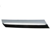 Listón embellecedor/protector, panal de radiador BLIC 6502-07-3547994CP