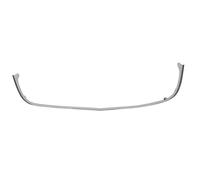 Listón embellecedor/protector, panal de radiador BLIC 6502-07-5078992P