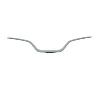 Listón embellecedor/protector, panal de radiador BLIC 6502-07-6009991P