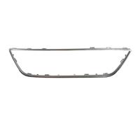 Listón embellecedor/protector, panal de radiador BLIC 6502-07-6614991P