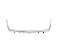 Listón embellecedor/protector, panal de radiador BLIC 6502-07-6825993P