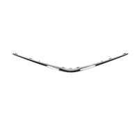 Listón embellecedor/protector, panal de radiador BLIC 6502-07-8156210Q
