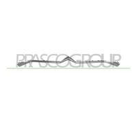 Listón Embellecedor/protector Panal De Radiador Prasco CI3312216 para Citroën