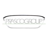 Listón Embellecedor/protector Panal De Radiador Prasco FD3442305 para Ford