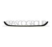 PRASCO FT4482305 Listón embellecedor / protector, panal de radiador