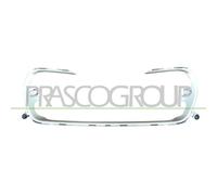 PRASCO PG4262206 Listón embellecedor / protector, panal de radiador