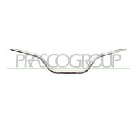 Listón Embellecedor/protector Panal De Radiador Prasco RN7002236 para Renault