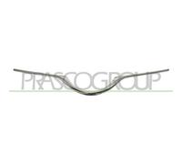 Listón Embellecedor/protector Panal De Radiador Prasco TY3292226 para Toyota