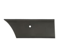 Listón embellecedor/protector, panel lateral BLIC 5703-06-6089574BP
