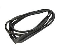 Listón embellecedor/protector, parabrisas BLIC para DAF 65 6.24 1993-1998