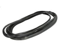 Listón embellecedor/protector, parabrisas BLIC para DAF XF 105 12.903 2013-