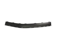 Parachoques Moldura Moldura Delantera Izquierda Para: PEUGEOT 406 12.99-12.04