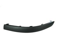 Listón embellecedor/protector, parachoques BLIC para PASSAT B5.5 (3B3) 2 2001-