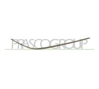 PRASCO ME0271247 Protector para parachoques Delante, derecha Compatible con MERCEDES-BENZ Clase C Sedán W203 Clase C T-modell S203