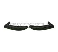 Listón Embellecedor/protector Parachoques Prasco RN3291055 para Renault