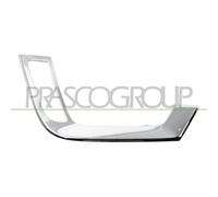 Listón Embellecedor/protector Parachoques Prasco SZ7521243 para Suzuki