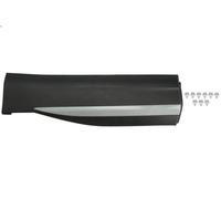 Listón embellecedor/protector, puerta BLIC 5703-04-7802575P para HS 1.5 2020-