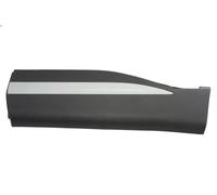 Listón embellecedor/protector, puerta BLIC 5703-04-7802577P para HS 1.5 2020-