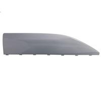 Listón embellecedor/protector, puerta BLIC 5703-04-7900577P