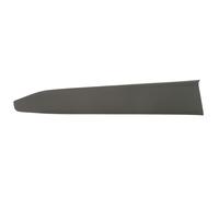 Listón embellecedor/protector, puerta BLIC 5703-04-8182571P