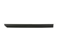 Listón embellecedor/protector, puerta BLIC 5703-04-9522480P derecha