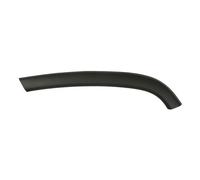 Listón embellecedor/protector, puerta BLIC 5703-08-3206373P