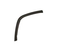 Listón embellecedor/protector, puerta BLIC 5703-08-3206376P