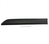 Listón embellecedor/protector, puerta BLIC para FIAT SCUDO Autobús 2 2024-2025