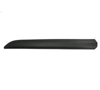 Listón embellecedor/protector, puerta BLIC para FIAT SCUDO Autobús 2 2024-2025