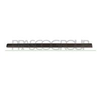Listón Embellecedor/protector Puerta Prasco FT1221404 para Fiat