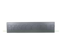 Listón Embellecedor/protector Puerta Prasco FT9301458 para Citroën Fiat Peugeot