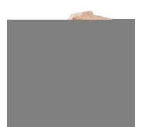 lisutupode Escalones de pared para gatos | Escaleras para gatos en madera de pino natural, escaleras y escalones seguros para gatos que ahorran espacio para escalar y descansar