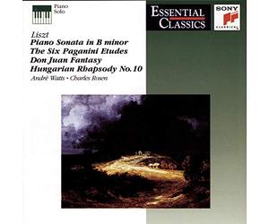 Liszt - Piano Sonata in B Minor / Hungarian Rhapsody 10