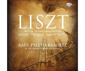 Liszt & Reger & Franck & Saint-Saëns Organ Works