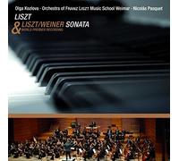 Liszt – Sonate h-Moll – AVI