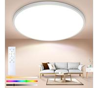 Litake Luz de Techo LED Regulable 24W, RGBW Lámpara de techo que cambia de color para el dormitorio Habitación de los niños Sala de estar Cocina Balcón 1800LM 3000K-6500K Plano Redondo φ30 * 4.8 / CM