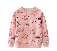 LitBud Niñas Sudaderas Dinosaurio Camiseta Manga Larga Cuello Redondo Algodón Jersey Sweatshirt Pullover Ropa para Niña Infantil 3-4 años