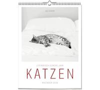 Literarisch durchs Jahr - KATZEN-Kalender 2026 - Wochenkalender mit anmutigen Katzenfotos & schönen Zitaten für Katzenliebhaber