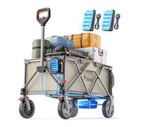 Litheli Carretilla eléctrica plegable, con neumáticos de 20 cm, capacidad de 200 l, capacidad de carga de 60 kg, 2 frenos, adecuado para camping, jardín, playa, color gris (2 pilas)