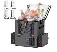 Litheli FrozenPack - Nevera portátil para coche (20 L, 12/24 V, 100/240 V, para camping, viajes, autocaravana, refrigeración rápida, 15 minutos, con 4 baterías de 4,0 Ah)
