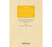 Litigación internacional en la unión europea (VII). Crisis matrimoniales, responsabilidad parental y sustracción internacional de menores: Crisis ... internacional de menores (Grandes Tratados)