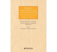 Litigación internacional en la unión europea (VII). Crisis matrimoniales, responsabilidad parental y sustracción internacional de menores: Crisis ... internacional de menores (Grandes Tratados)