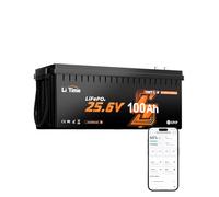 LiTime Batería de Litio de 24 V y 100 Ah LiFePO4 con Bluetooth, Compatible con Victron, CAN/RS485, 2560 WH, 4000-15000 ciclos, con protección contra Bajas temperaturas, Ideal para caravanas de tamaño