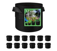 LITLANDSTAR 12 bolsas de cultivo de 12 l de tela no tejida, bolsas de cultivo para plantas de jardín, macetas transpirables de tela no tejida, con asas, contenedor interior y exterior para verduras,