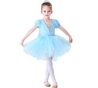 Lito Angels Disfraz Vestido Tutu Princesa Elsa Bailarina de Ballet para Niñas Pequeñas, Maillot de Danza Baile con Falda, Talla 2-3 años, Azul (Número de etiqueta 100)