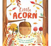 Little Acorn: Padded Board Book (Nature Stories)